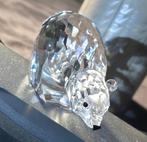 Swarovski - Beeldje - Polar bear - 013747 - Box - Kristal
