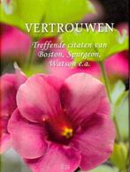 Pareltje vertrouwen 9789462781757, Boeken, Verzenden, Gelezen