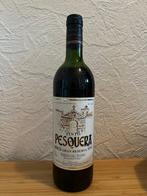 1991 Alejandro Fernández, Tinto Pesquera Janus - Ribera, Nieuw