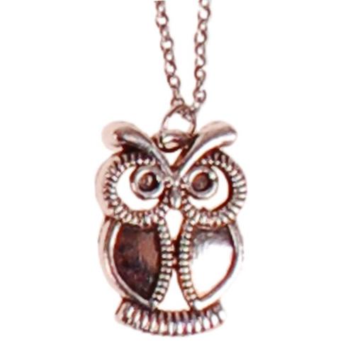 Kinderketting RVS Zilverkleurig 45cm - Hangertje Uiltje Zilv, Sieraden, Tassen en Uiterlijk, Kindersieraden, Nieuw, Ophalen of Verzenden