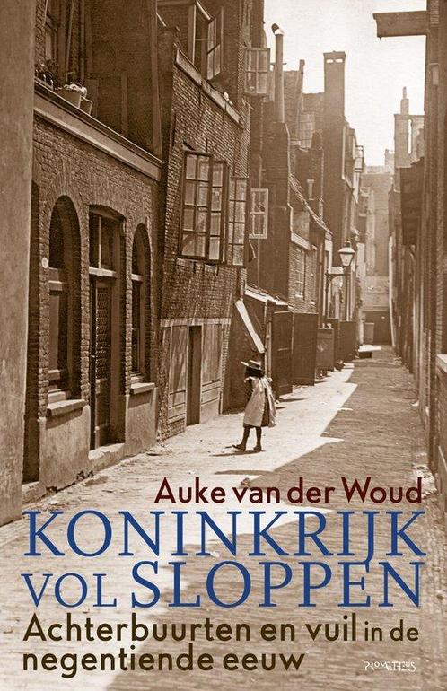 9789044649086 Koninkrijk vol sloppen | Tweedehands, Boeken, Studieboeken en Cursussen, Zo goed als nieuw, Verzenden