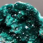 dioptase Kristallen op matrix - Hoogte: 5.5 cm - Breedte: 7, Verzamelen