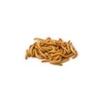 Ruto Levende Meelwormen 5000 gram, Dieren en Toebehoren, Pluimvee | Toebehoren, Ophalen of Verzenden, Nieuw