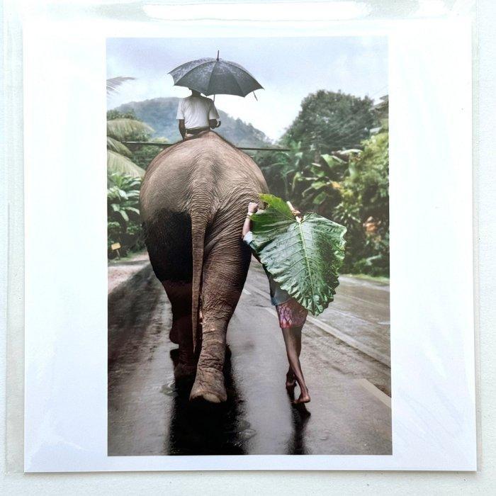 Steve McCurry (1950–) - Young Man Walks Behind an Elephant,, Antiek en Kunst, Kunst | Designobjecten