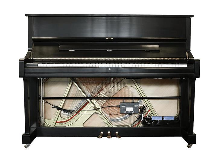 Piano Life Saver System 5PS dampp chaser / luchtbevochtiger, Muziek en Instrumenten, Instrumenten | Toebehoren