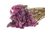 Statice sinuata natural Purple/Pink Lamsoor, Ophalen of Verzenden, Nieuw