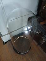 Stolp - Glas, Hout - 1930-1940 - grote antieke stolp - 40 cm, Antiek en Kunst, Antiek | Boeken en Bijbels