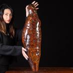 Vormgegeven als een vlinder cocon Verbazingwekkende