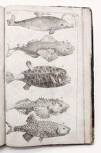 Linnaeus - Systema Naturae - 1748, Antiek en Kunst, Antiek | Boeken en Bijbels