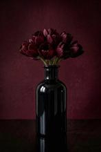 Alina Lebedeva - Burgundy tulips