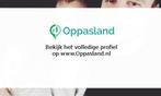 Mike zoekt een oppas in Valthermond voor 2 kinderen voor..., Vacatures, Vacatures | Horeca en Catering