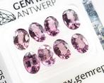 Zonder Minimumprijs - 8 pcs Spinel - 6.98 ct - Gem Report, Nieuw