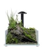 Wabi Kusa Bio Tank Black | 32 x 20 x 14CM, Dieren en Toebehoren, Reptielen en Amfibieën | Toebehoren, Nieuw, Ophalen of Verzenden