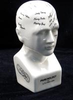 Hoofd ornament - Model Phrenology Hoofd - Dr. L.N.Fowler -