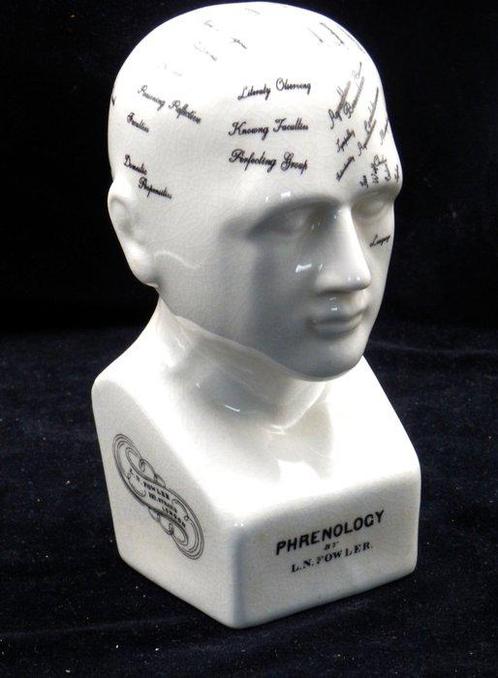 Hoofd ornament - Model Phrenology Hoofd - Dr. L.N.Fowler -, Antiek en Kunst, Curiosa en Brocante