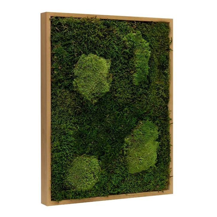 Vintlux Mosschilderij Lappenmos-Bolmos Eikenhout - Viborg, Huis en Inrichting, Woonaccessoires | Wanddecoraties
