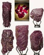 110,09 ct - Prachtige partij korundum, variëteit Ruby,