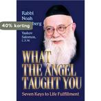 What the Angel Taught You 9781578191345 Noah Weinberg, Verzenden, Gelezen, Noah Weinberg
