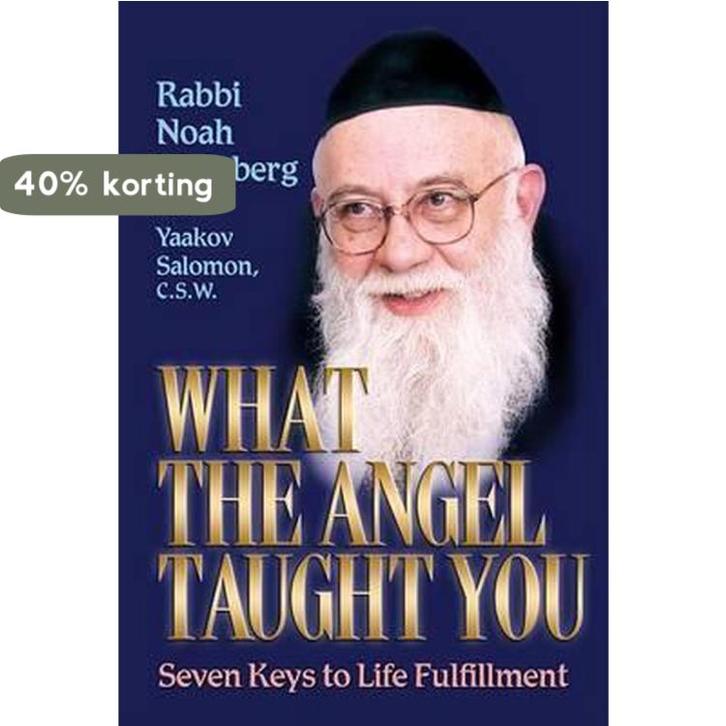 What the Angel Taught You 9781578191345 Noah Weinberg, Boeken, Taal | Engels, Gelezen, Verzenden