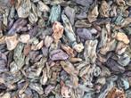 Colour Lace Aqua Rock  5-11cm 2KG aquarium decoratie stenen, Ophalen of Verzenden, Nieuw, Plant(en), Steen of Hout