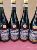 2019 Lamberti - Amarone della Valpolicella - 6 Flessen (0.75, Verzamelen, Wijnen, Nieuw