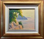 Bruno Coppo (1937) - Riviera ligure di Levante, Antiek en Kunst