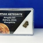 Authentieke Marsmeteoriet! Amgala 001 (Sahara, 2022). Een