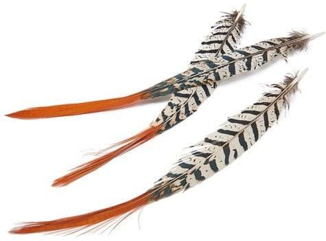 Fazantenveren Lady Amherst Orange Tip ca. 6 stuks, Hobby en Vrije tijd, Knutselen, Nieuw, Ophalen of Verzenden