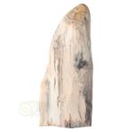Versteend hout sculptuur nr 54 - 4595 gram, Nieuw, Verzenden