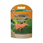 Dennerle Shrimp King Cambarellus 30 Gram, Nieuw, Ophalen of Verzenden