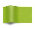 Vloeipapier Zijdepapier Groen op rol - Breedte 20 cm - 200m, Hobby en Vrije tijd, Knutselen, Nieuw, Overige typen, Ophalen of Verzenden