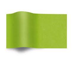 Vloeipapier Zijdepapier Groen op rol - Breedte 20 cm - 200m, Hobby en Vrije tijd, Knutselen, Overige typen, Nieuw, Ophalen of Verzenden