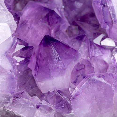 Premium kwaliteit. Schitterende Amethistkristallen - Pools, Verzamelen, Mineralen en Fossielen