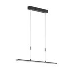 Fischer & Honsel - Hangende plafondlamp - Metz TW 90 - Zwart