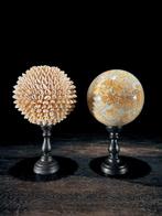 Decoratief ornament - NO RESERVE PRICE - Wonderful Pair of