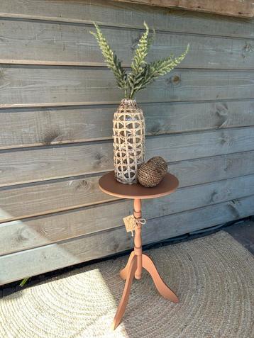 Plantentafel Chestnut Mare beschikbaar voor biedingen