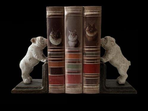 Boekensteunen (2) - Gietijzer, Antiek en Kunst, Curiosa en Brocante