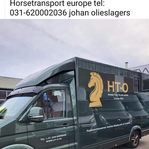 HT-O horse taxi olieslagers  www.ht-o.nl  bel gerust, Dieren en Toebehoren, Paarden en Pony's | Overige Paardenspullen, Overige soorten
