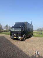 Degelijke MAN paardenvrachtwagen! 5 paards!, Ophalen, Zo goed als nieuw