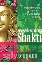 Awakening Shakti 9781604078916 Sally Kempton, Verzenden, Gelezen, Sally Kempton