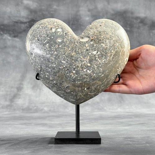 Decoratief ornament - NO RESERVE PRICE - A pair of, Antiek en Kunst, Kunst | Designobjecten