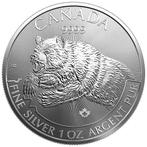 Canada. 5 Dollars 2019 Predators series BEAR, 1 oz  .9999%