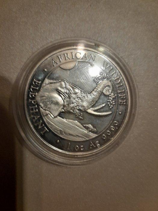 Somalië. 100 Shillings 2023 1 oz (Zonder Minimumprijs), Postzegels en Munten, Munten | Europa | Niet-Euromunten