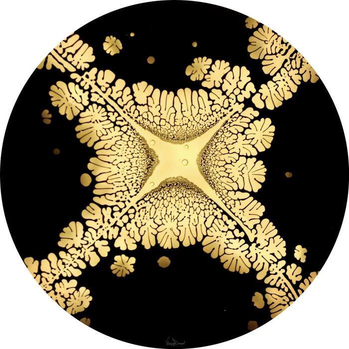 Véronique Dumont - NectART d’étoile, Antiek en Kunst, Kunst | Schilderijen | Modern