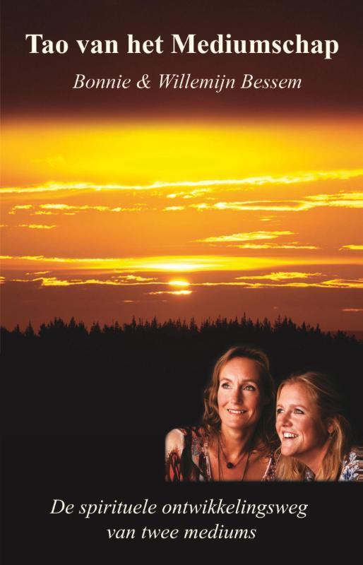 Tao van het mediumschap 9789081747936 Willemijn Bessem, Boeken, Esoterie en Spiritualiteit, Zo goed als nieuw, Verzenden