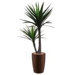 Yucca kunstplant, H200cm, Huis en Inrichting, Kamerplanten, Ophalen of Verzenden