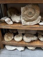 Veel verschillende mineralen, fossielen en edelstenen, Verzamelen, Mineralen en Fossielen, Ophalen of Verzenden, Mineraal