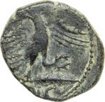 Kelten, Volcae, Arecomici Æ14 circa 77-44 BC (Zonder
