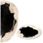 NO RESERVE! - Schaal - fossiel hout - versteend houten