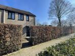 Te huur: Huis De Plank in Veldhoven, Veldhoven, Noord-Brabant
